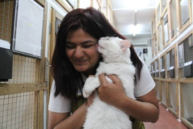 A DKC Girl Cuddling A White Cat