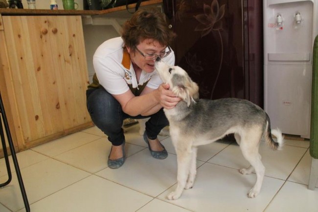 A Pet Owner Giving Some Love And Assurance To Her Dog