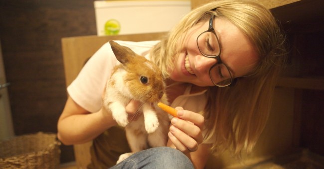 rabbit feeding