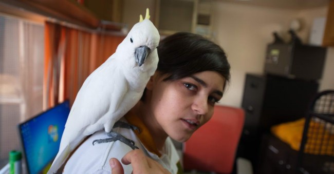 bird on shoulder