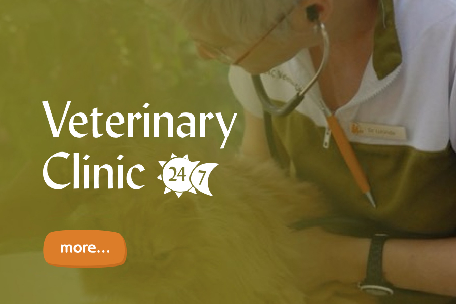 DKC Veterinary Clinic