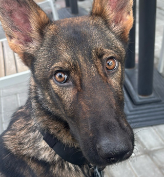 Kaiser