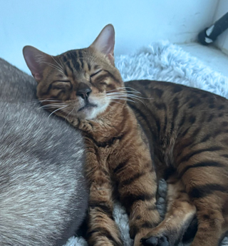 Ragnar