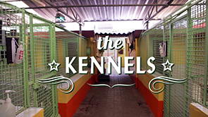 DKC Video Tour <br>Part 3 of 9 <span>Our Kennels</span>