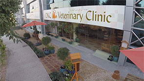  <span>DKC Veterinary Clinic</span>