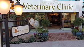 <span>DKC Veterinary Clinic ~ Building it from scratch to finished</span>